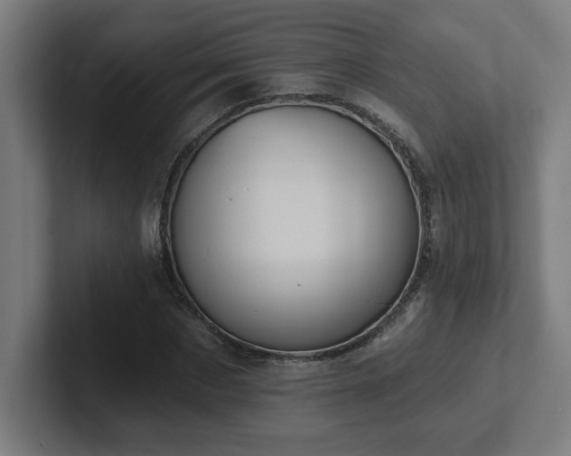 X0000102410873200808011605