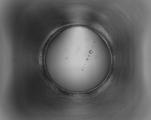 X0000102410875200808011605
