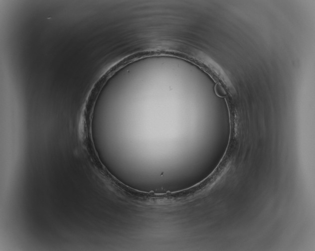 X0000102410876200808011605