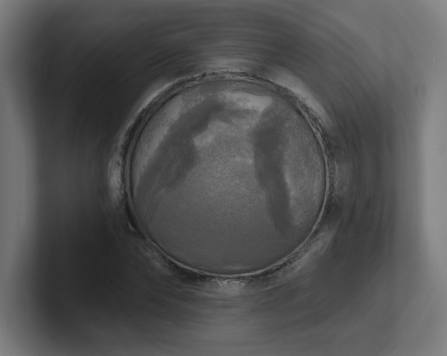 X0000102410878200808011605
