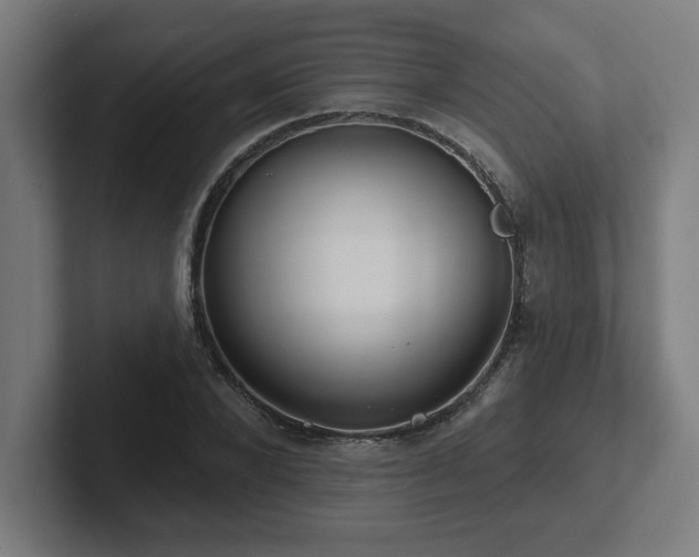X0000102410880200808011605