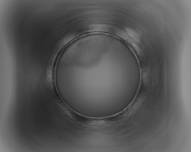 X0000102410882200808011605