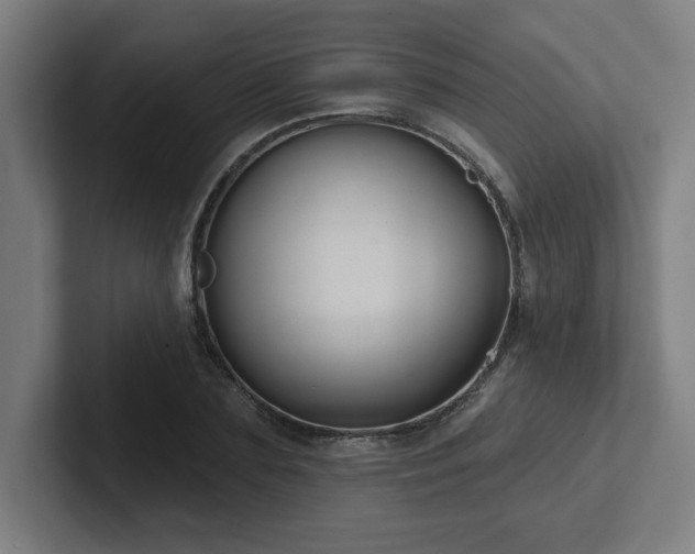 X0000102410883200808011605