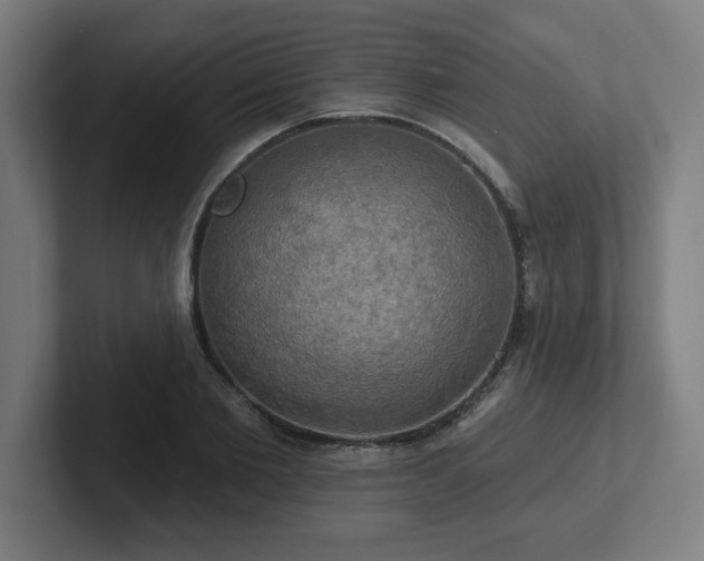 X0000102410885200808011605