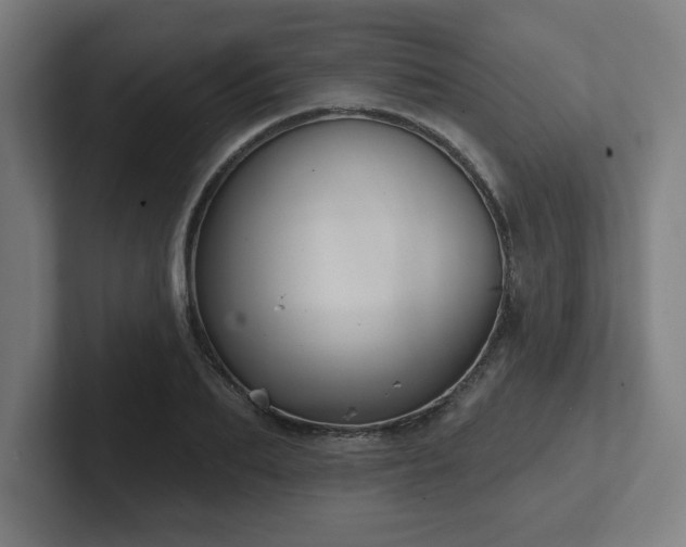 X0000102410887200808011605