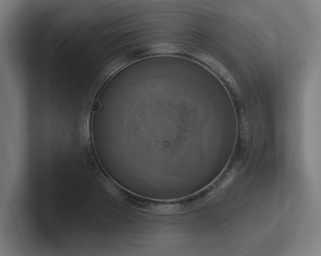 X0000102410889200808011605