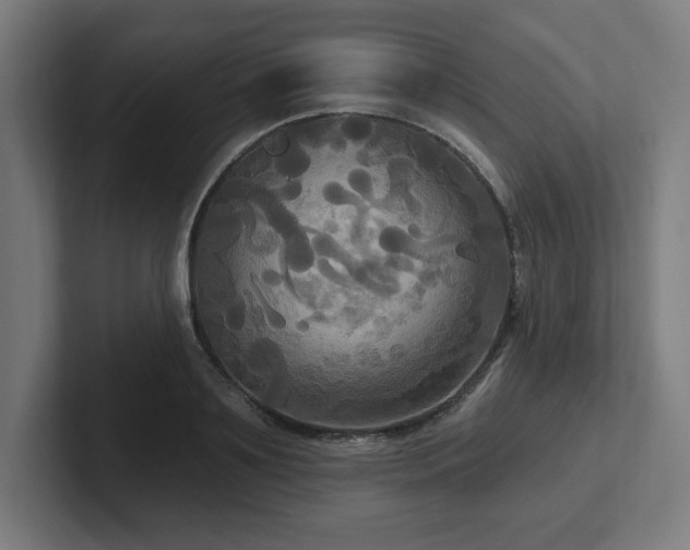 X0000102410891200808011605