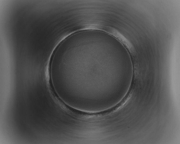 X0000102410892200808011605