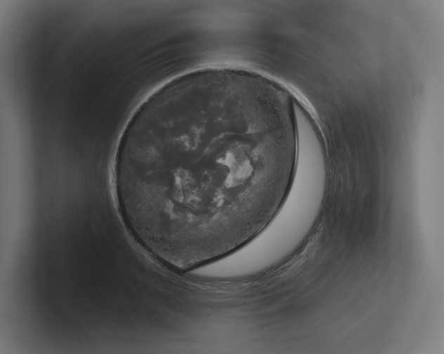 X0000102410895200808011605
