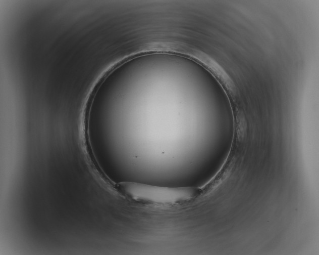 X0000102410896200808011605