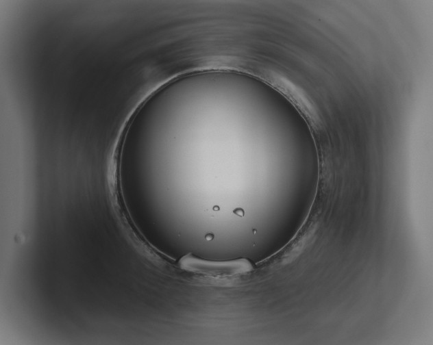 X0000102410900200808011605