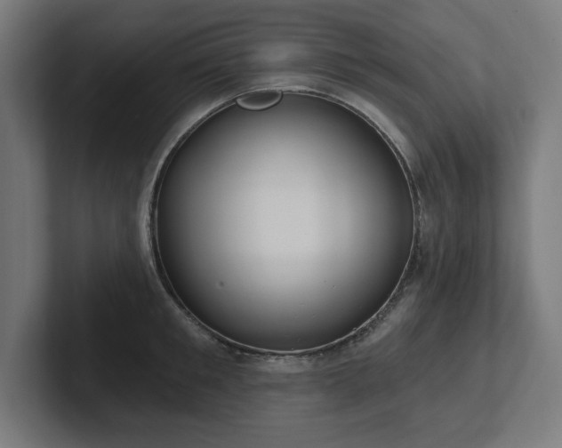 X0000102410901200808011605