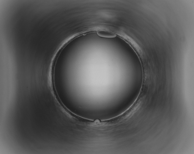X0000102410902200808011605