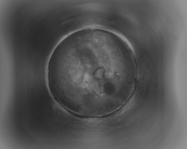 X0000102410903200808011605
