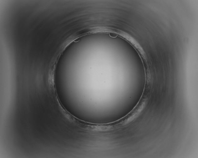 X0000102410905200808011605