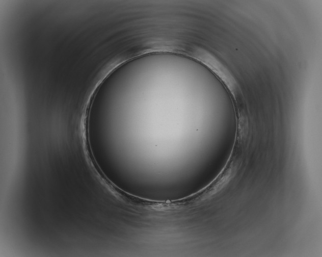 X0000102410906200808011605