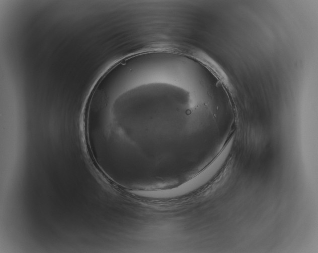 X0000102410907200808011605