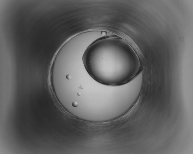 X0000102410908200808011605