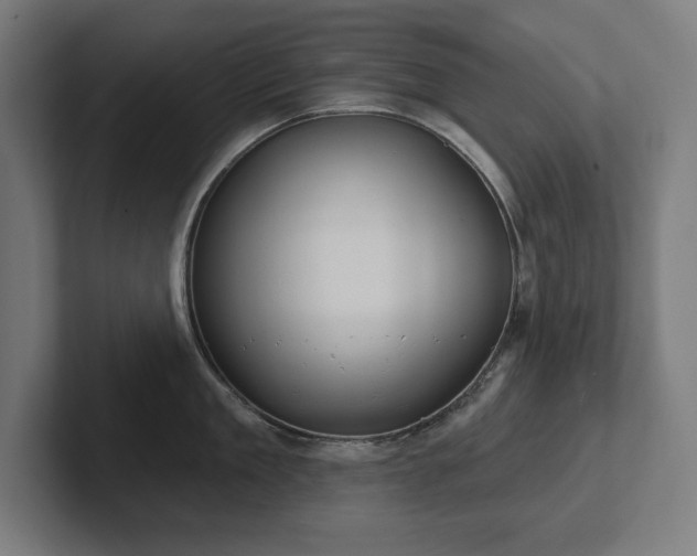 X0000102410909200808011605