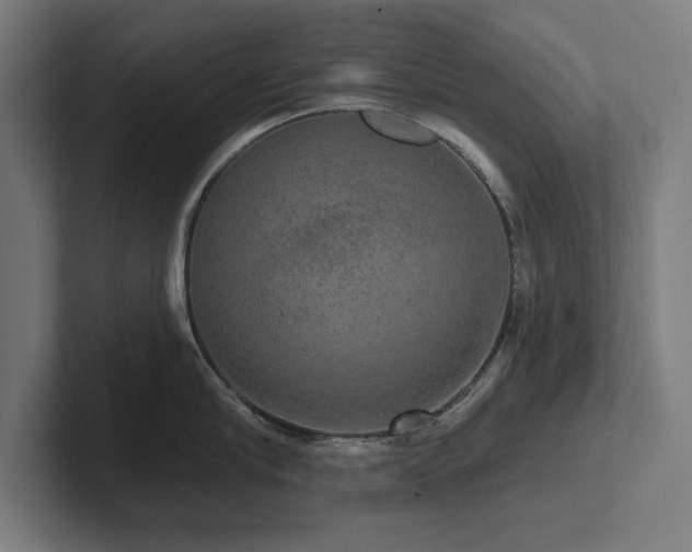 X0000102410910200808011605