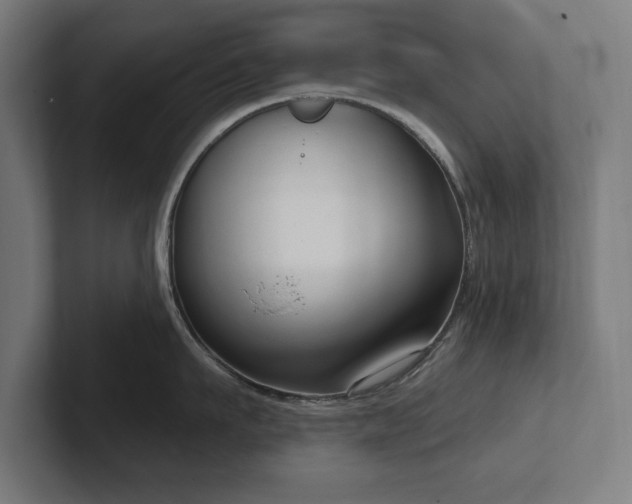 X0000102410911200808011605