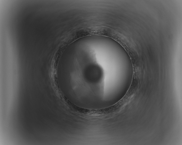X0000102410913200808011604