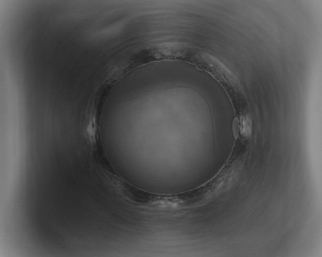 X0000102410915200808011604