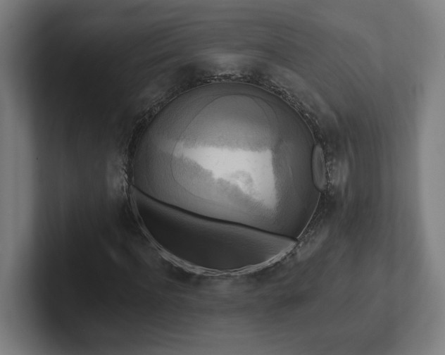 X0000102410916200808011604