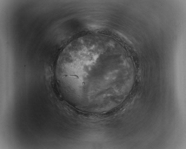 X0000102410917200808011604