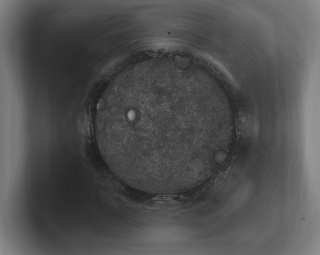 X0000102410918200808011604