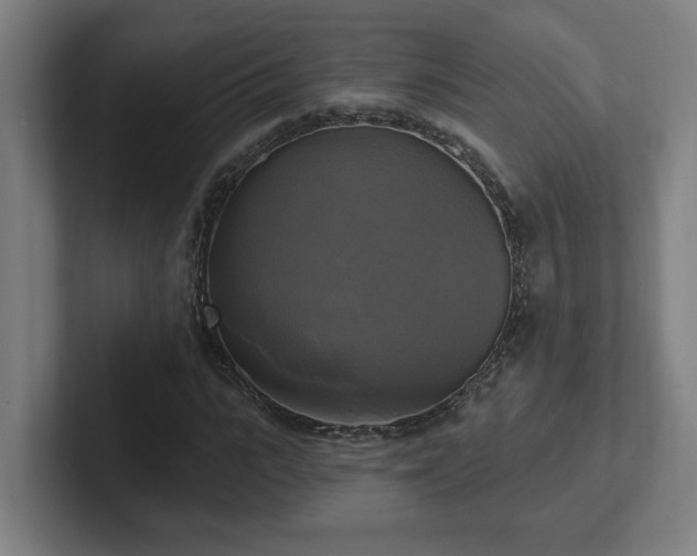 X0000102410919200808011604