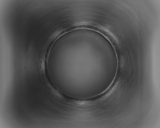 X0000102410921200808011604