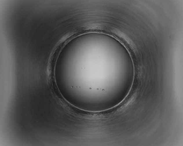 X0000102410922200808011604
