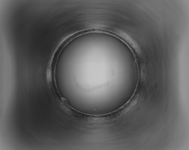 X0000102410924200808011604