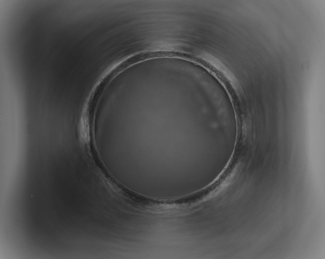 X0000102410925200808011604