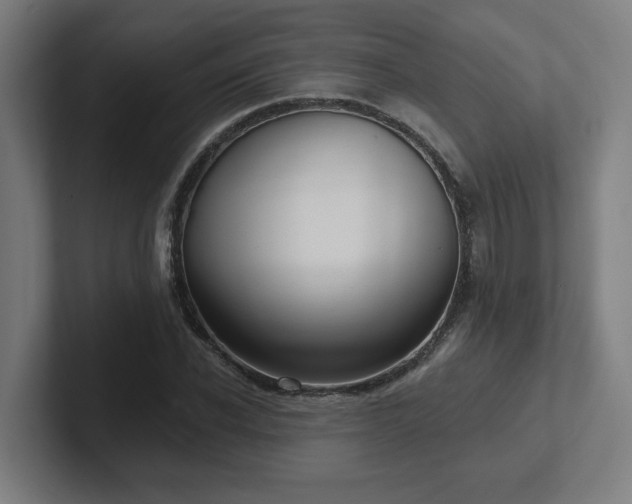 X0000102410926200808011604
