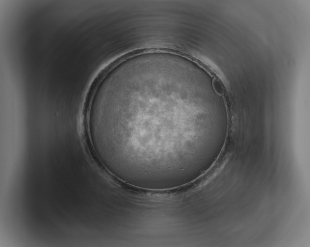 X0000102410928200808011604