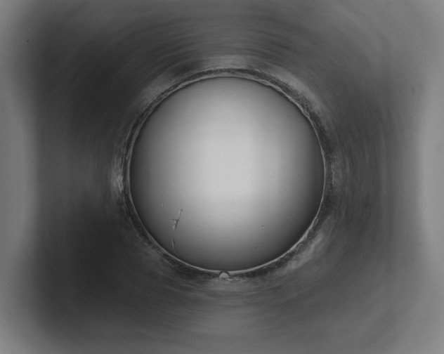 X0000102410929200808011604