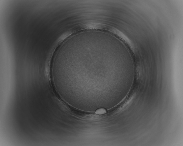 X0000102410930200808011604