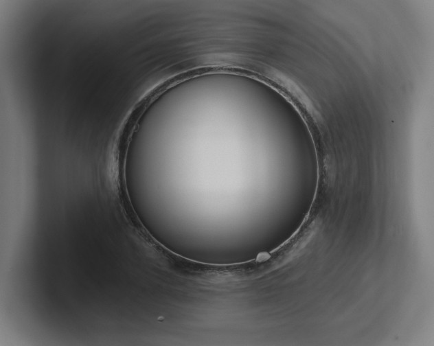 X0000102410931200808011604