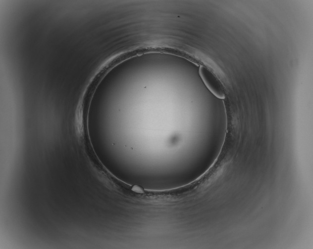 X0000102410934200808011604