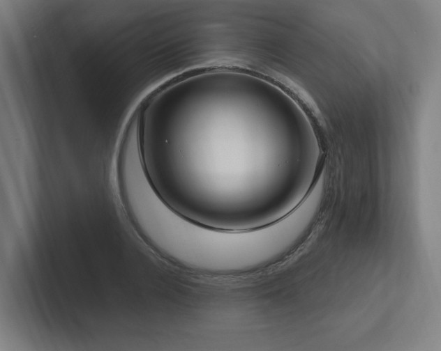 X0000102410936200808011604