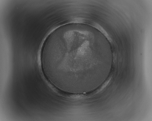 X0000102410939200808011604
