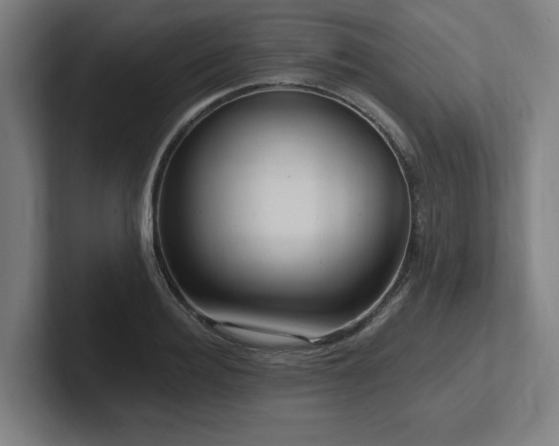 X0000102410940200808011604