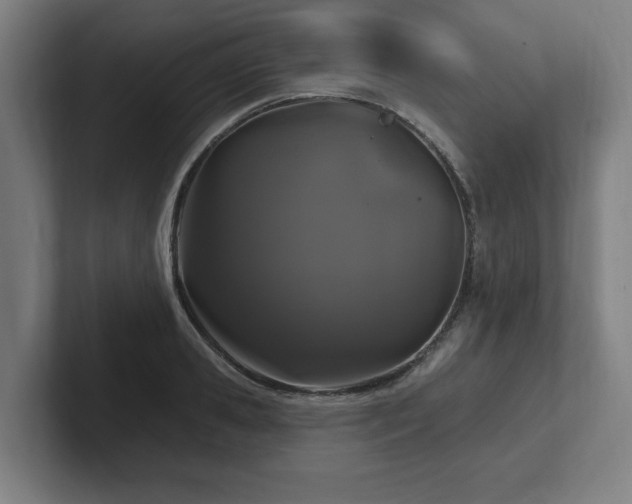 X0000102410941200808011604
