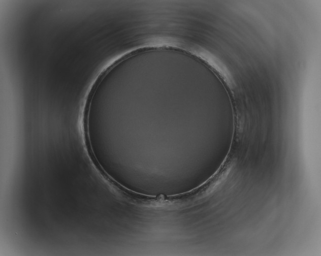 X0000102410943200808011604