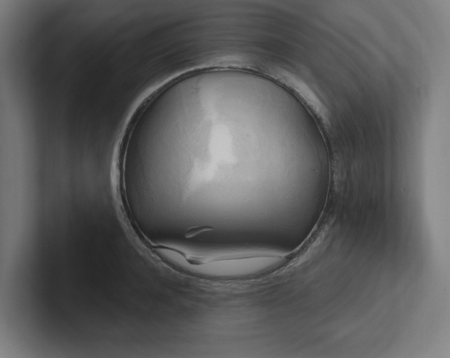 X0000102410944200808011604