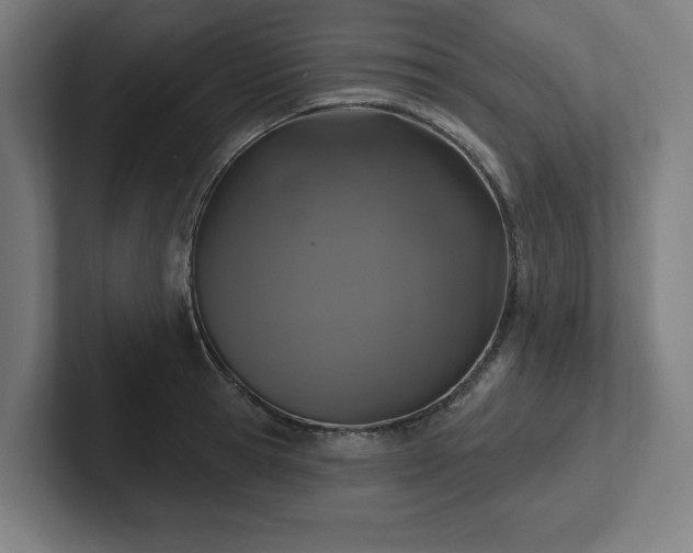X0000102410945200808011604