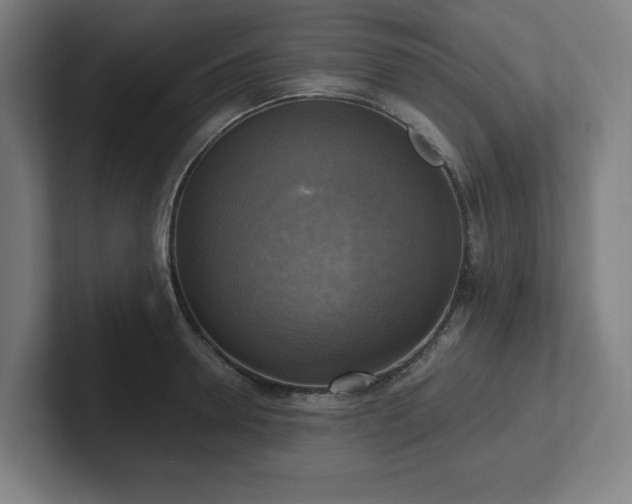 X0000102410946200808011604