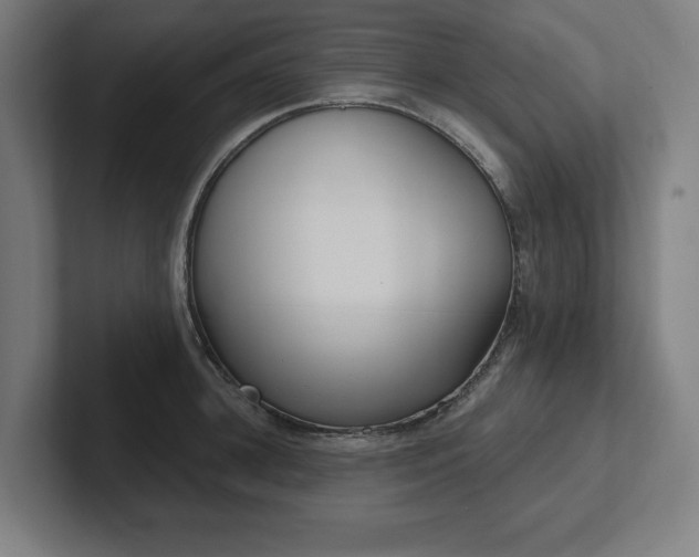 X0000102410948200808011604